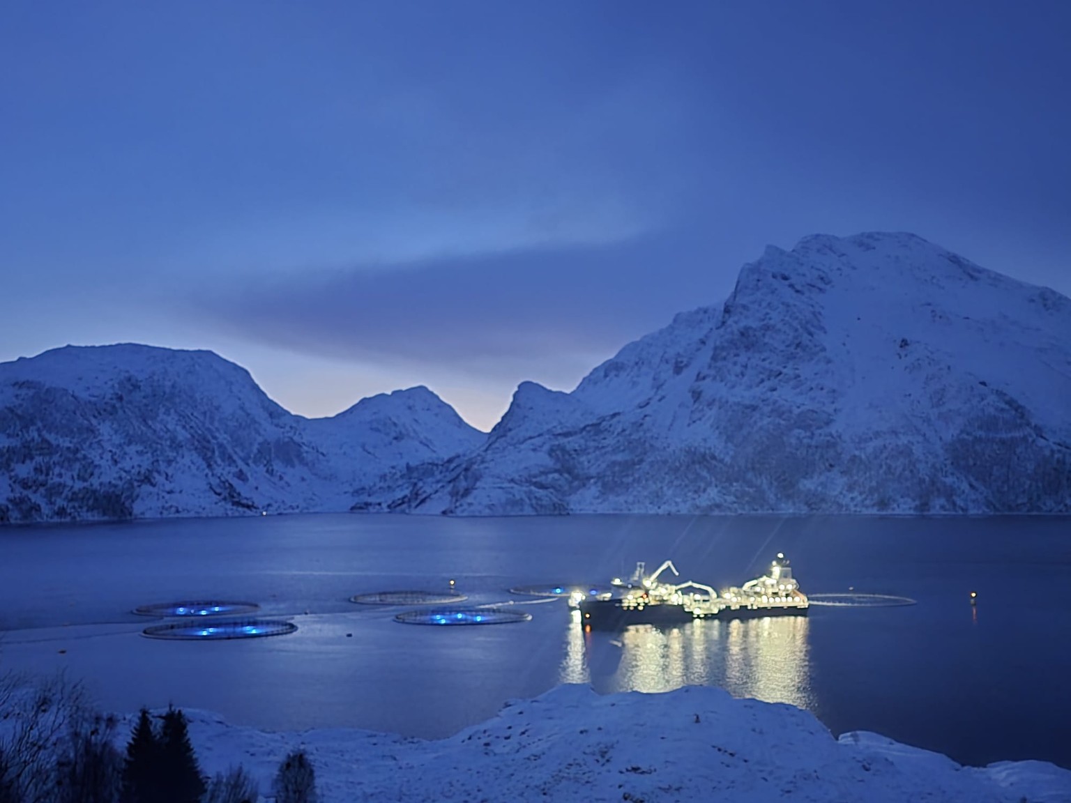 Vinterfjord i Øksfjord